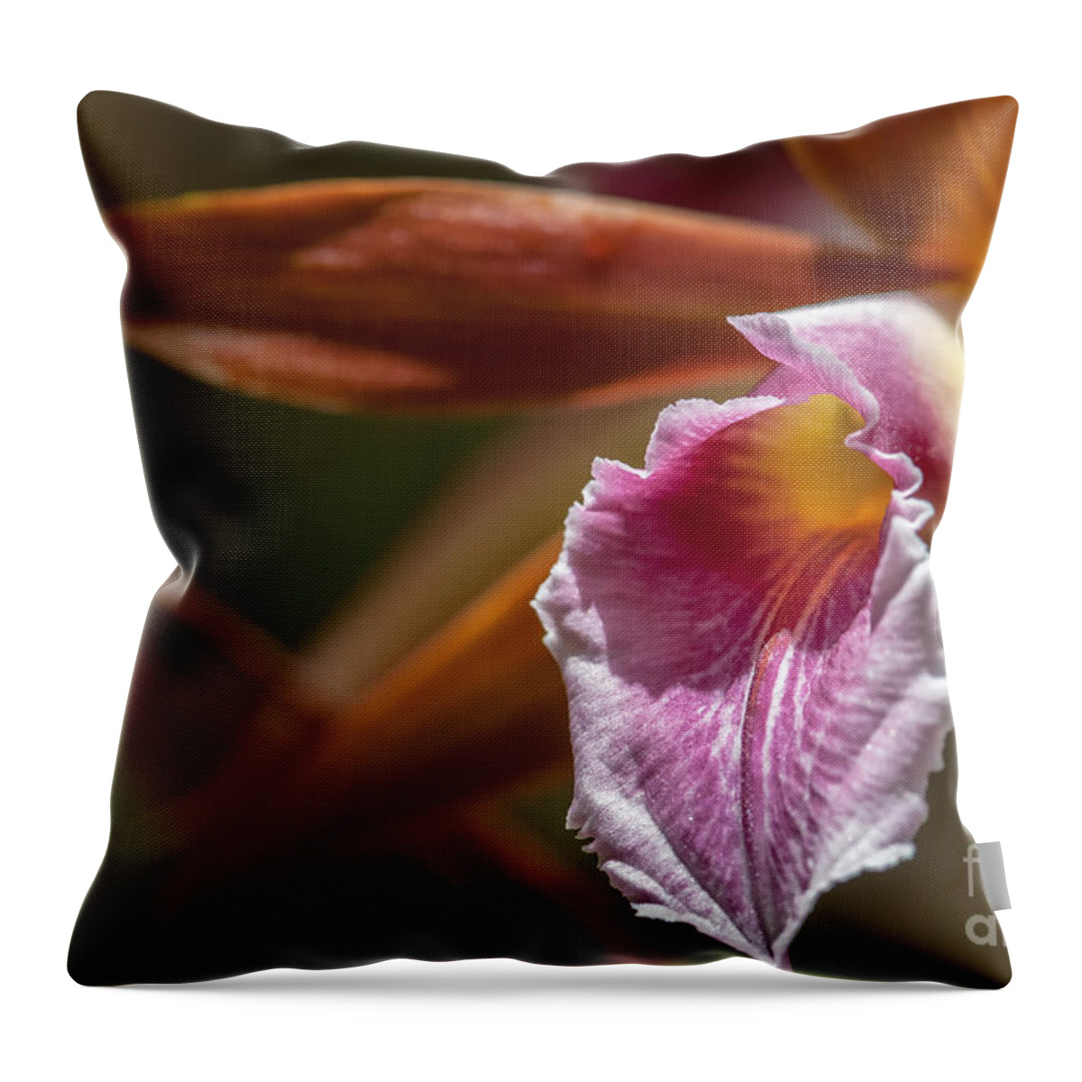Al Andersen Throw Pillow featuring the photograph Phaius Tankervilleae Orchid by Al Andersen
