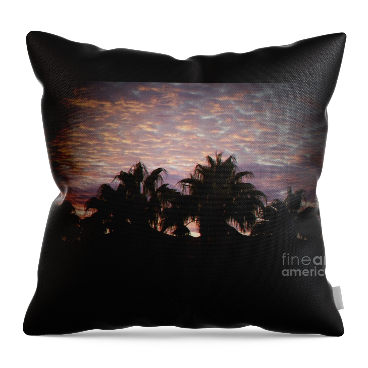 Sunset Throw Pillow featuring the photograph Phoenix Sunset by Brandi Mavretic