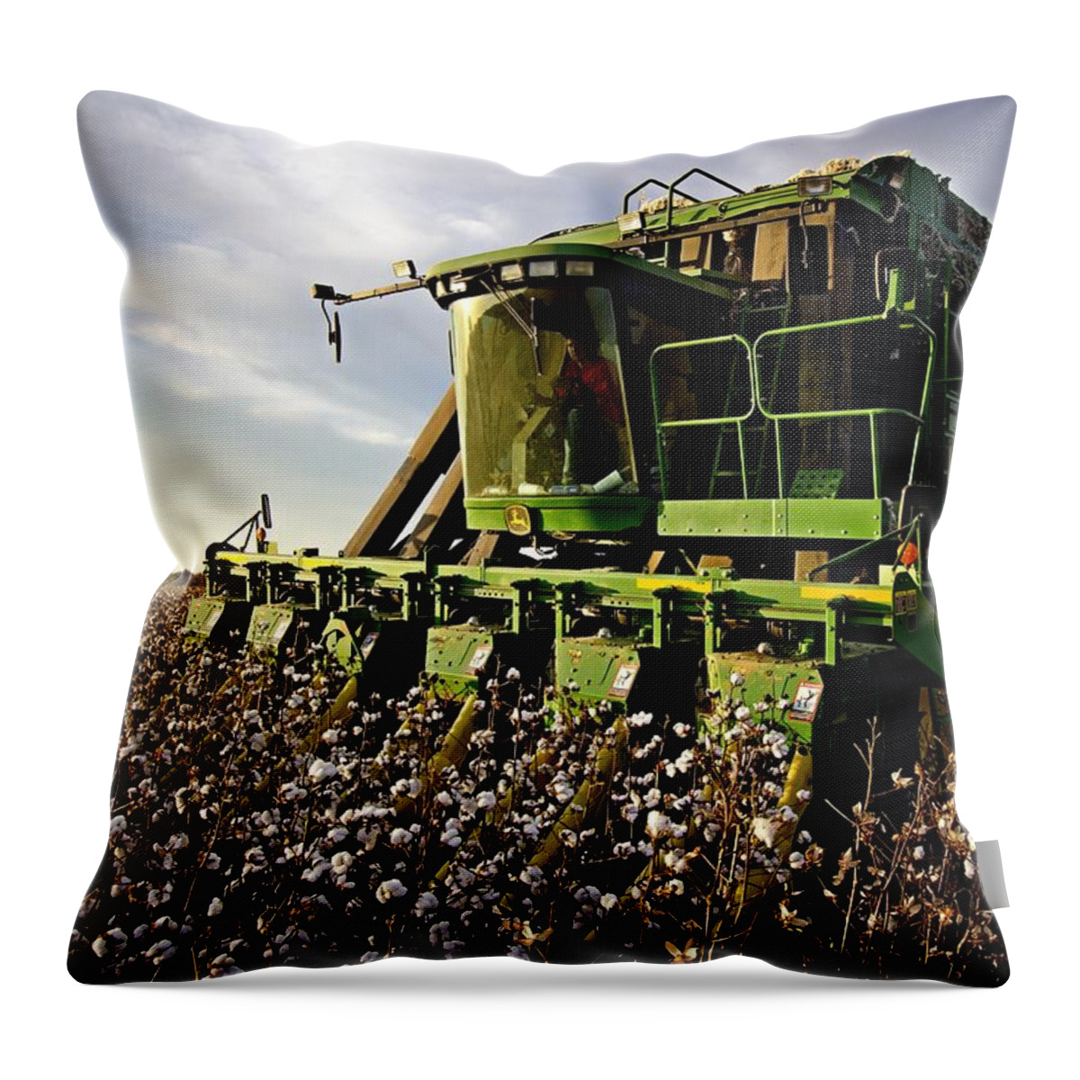 Ag Throw Pillow featuring the photograph Pickin Up by David Zarecor