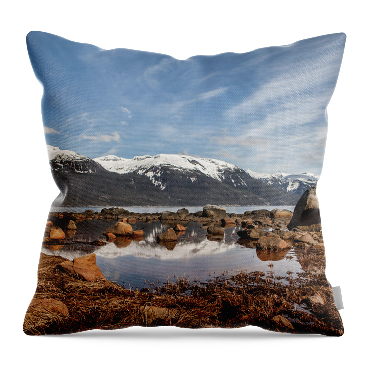 Alaska Throw Pillow featuring the photograph Picture Point by Michele Cornelius
