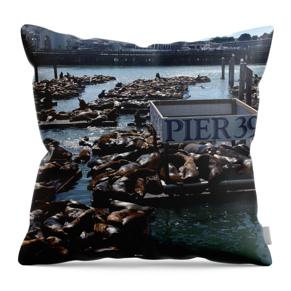 Seals Throw Pillow featuring the photograph Pier 39 San Francisco Bay by Aidan Moran
