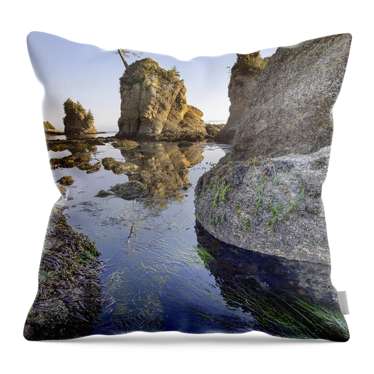 Pig Throw Pillow featuring the photograph Pig and Sows Rock in Garibaldi Oregon at Low Tide Vertical by Jit Lim
