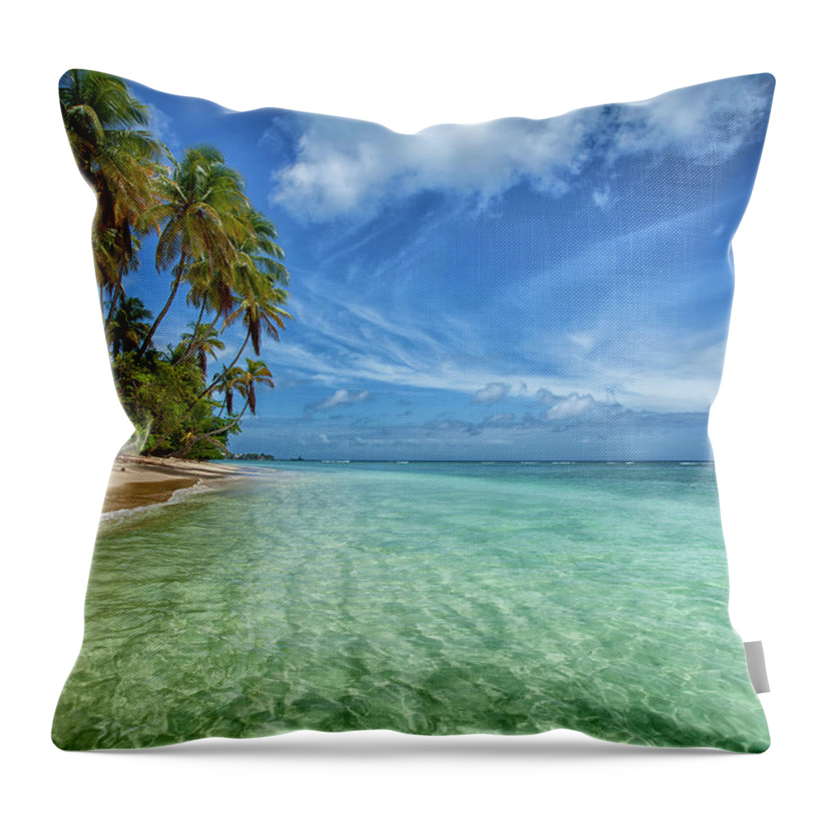 Tranquility Throw Pillow featuring the photograph Pigeon Point Beach by Timothy Corbin