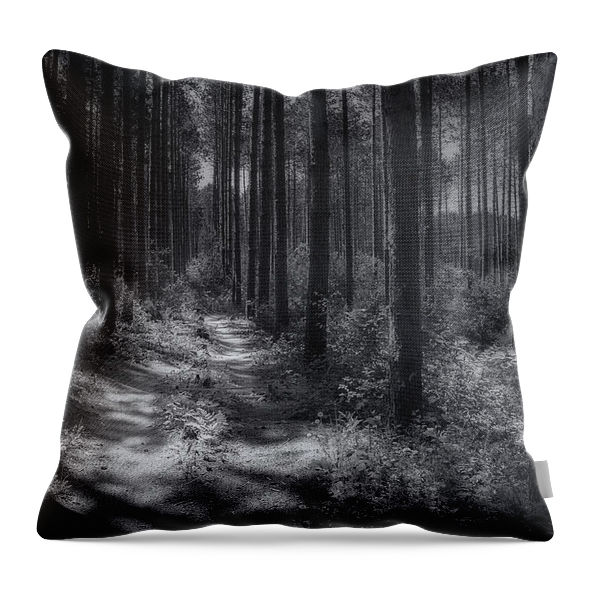 Trees Throw Pillow featuring the photograph Pine Grove by Scott Norris