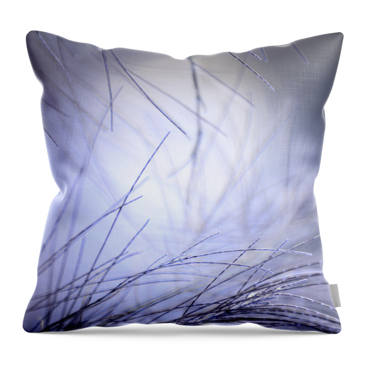 Pine Throw Pillow featuring the photograph Pine Tree Needles by Jenny Rainbow