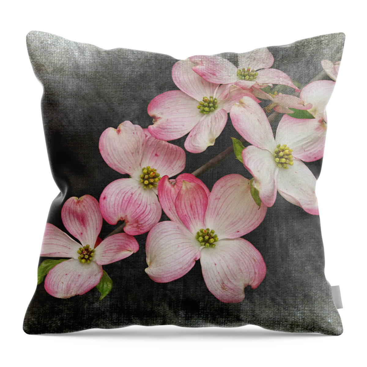 Art Throw Pillow featuring the photograph Pink and White Dogwood Tree Blossoms by Randall Nyhof