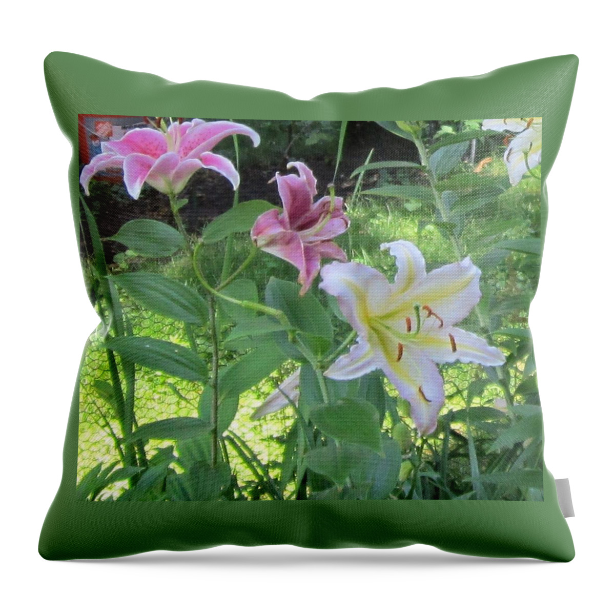 Landscape Throw Pillow featuring the photograph Pink and White Stargazer Lilies by Glenda Crigger