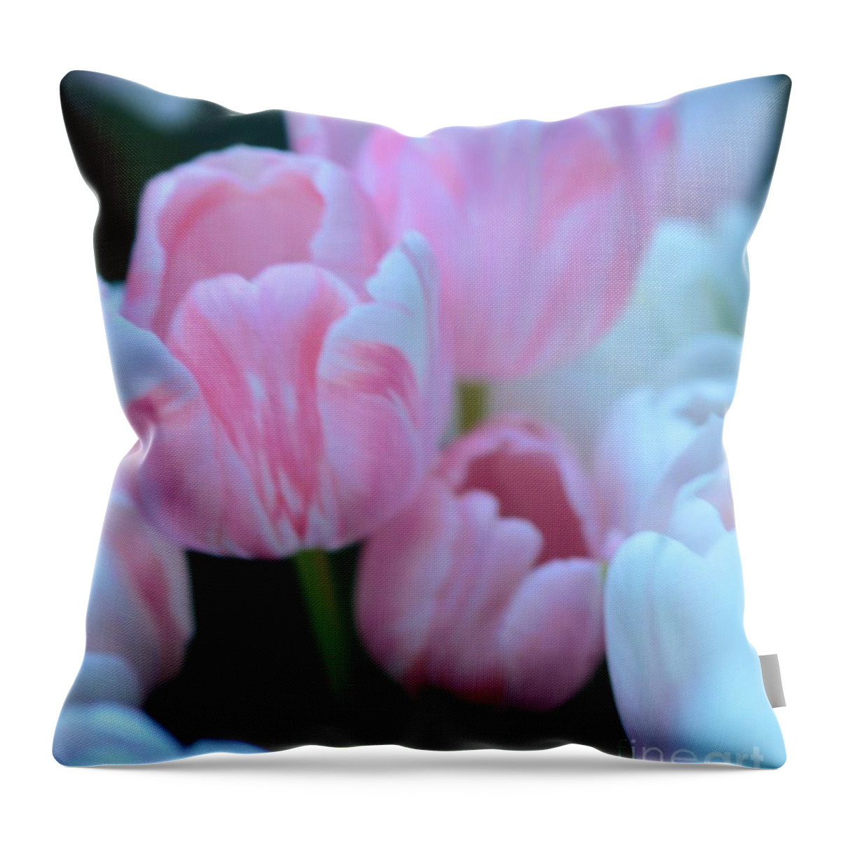 Tulip Throw Pillow featuring the photograph Pink And White Tulips by Kathleen Struckle