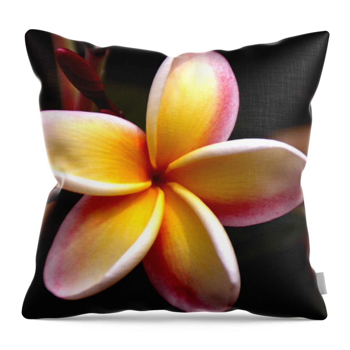 Still Life Throw Pillow featuring the photograph Pink and Yellow Plumeria by Brian Harig
