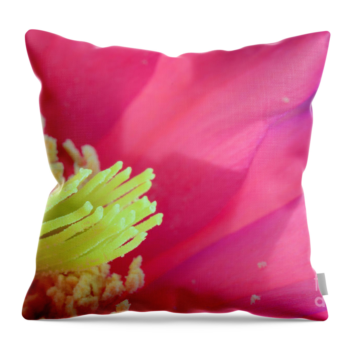 Pink Cactus Flower Throw Pillow featuring the photograph Pink Cactus Flower by Tamara Becker