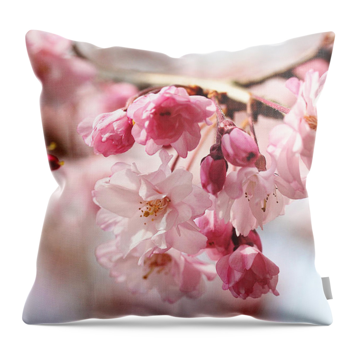 Floral Throw Pillow featuring the photograph Pink Cherry Blossoms by Trina Ansel