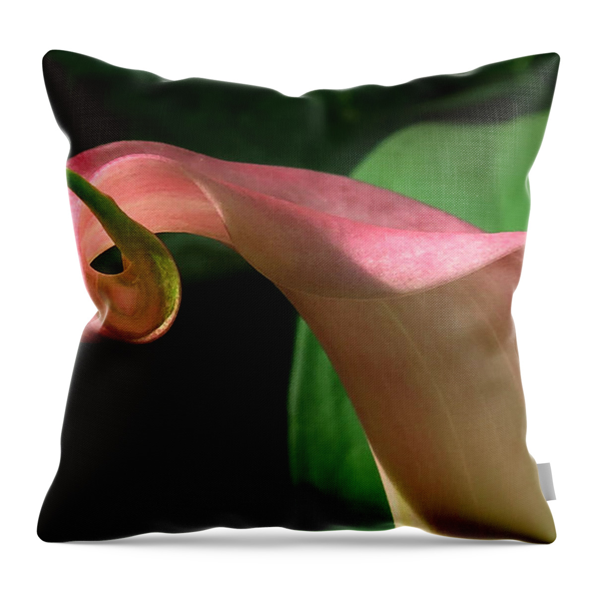 Calla Throw Pillow featuring the photograph Pink Curve by Deborah Smith