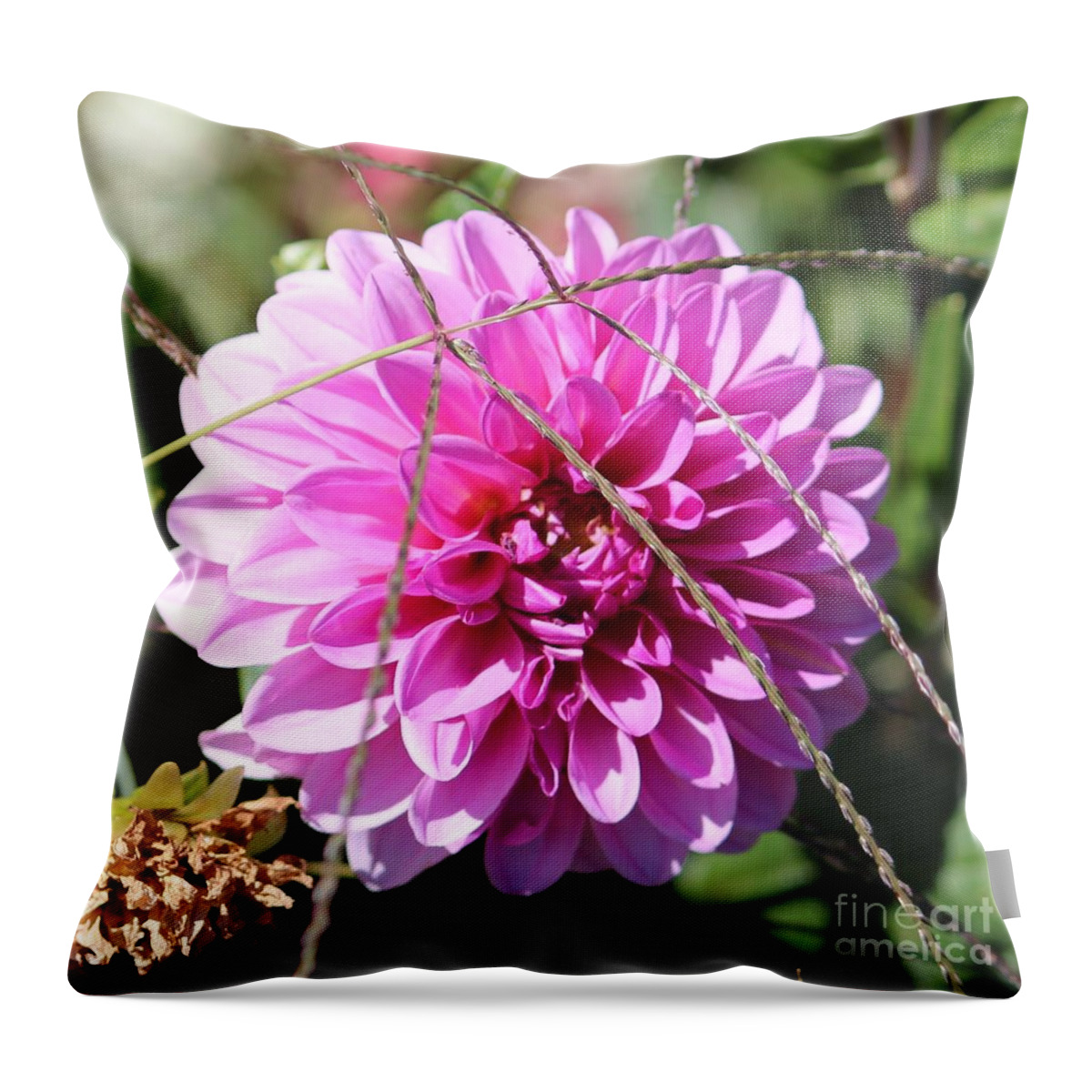 Pink Throw Pillow featuring the photograph Pink Flower by Cynthia Snyder