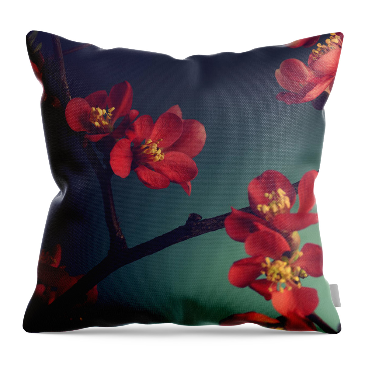 Flower Throw Pillow featuring the photograph Pink Flower Blossom by Jelena Jovanovic