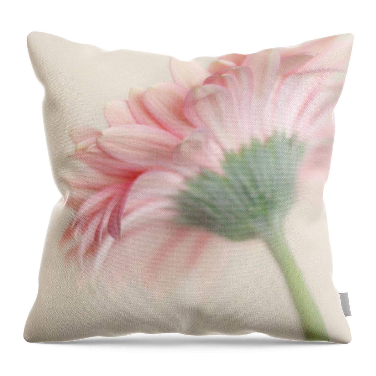 Flower Photography Throw Pillow featuring the photograph Pink Flower Photography - Pink Nursery Wall Art - Baby Girl Nursery Art - Pale Pink Mint Green Decor by Amy Tyler