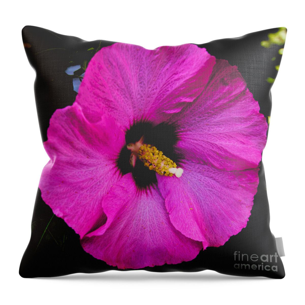 Pink Flower Throw Pillow featuring the photograph Pink Flower by William Norton