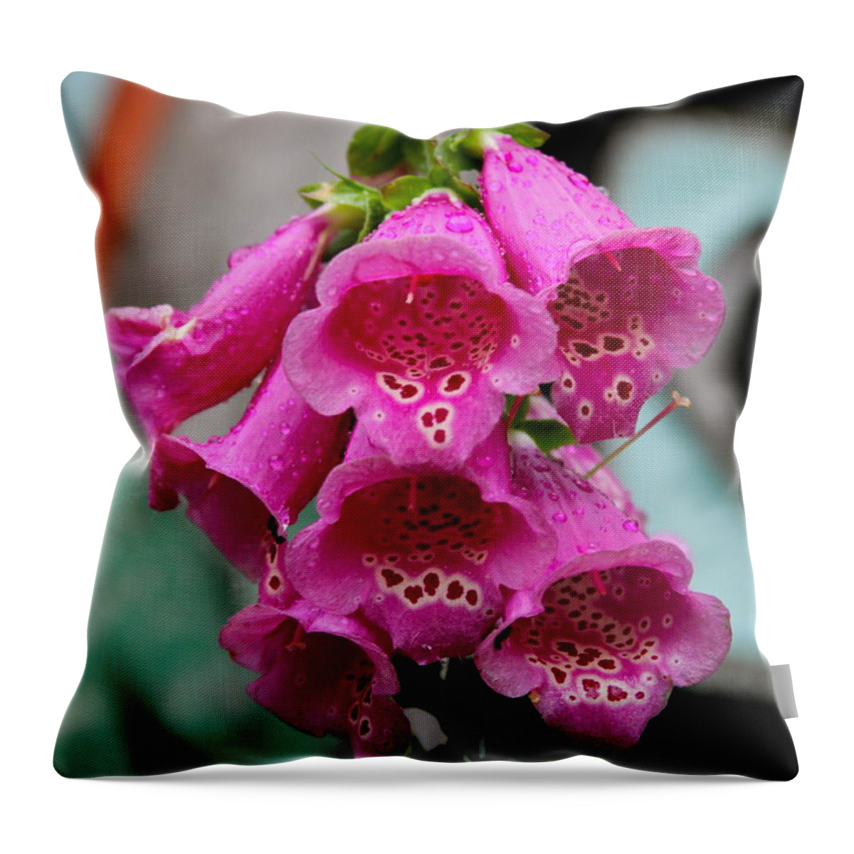 Raindrops Throw Pillow featuring the photograph Pink Foxglove by Karon Melillo DeVega
