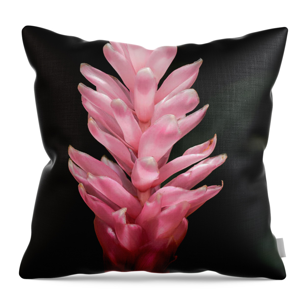 Pink Throw Pillow featuring the photograph Pink Ginger by Al Andersen