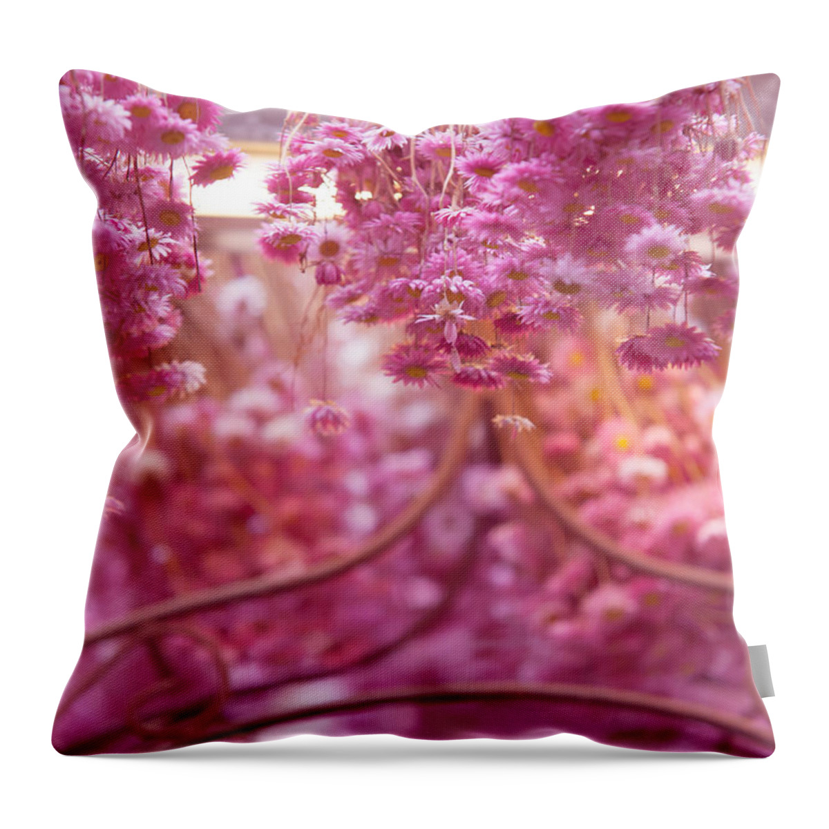 Flower Throw Pillow featuring the photograph Pink Helichrysum. Amsterdam Flower Market by Jenny Rainbow