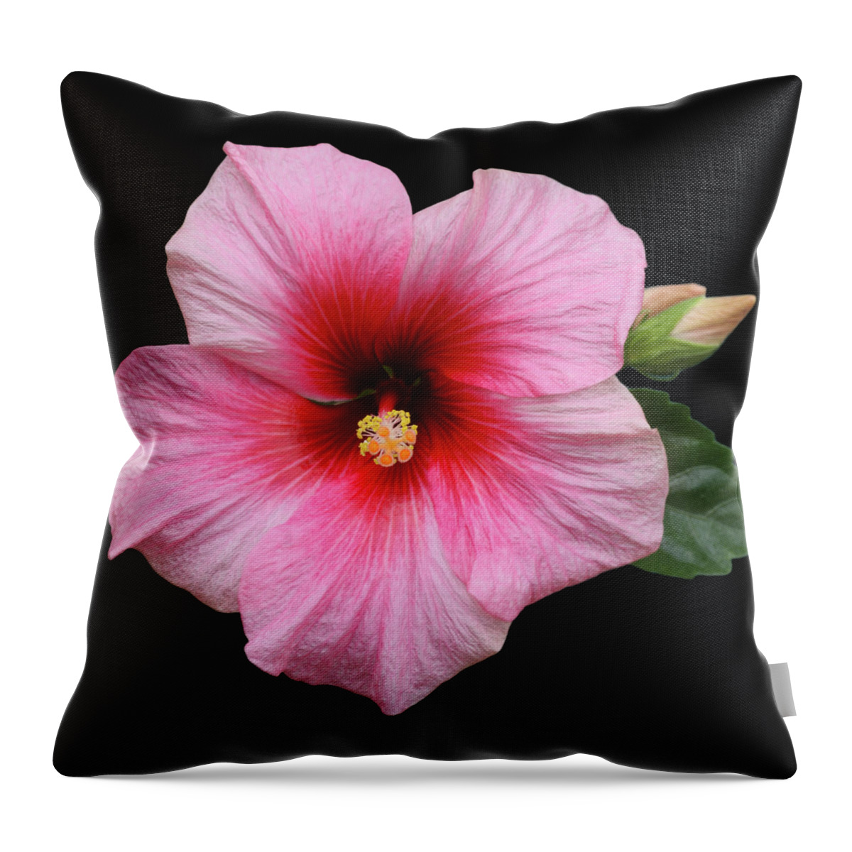 Haslemere Throw Pillow featuring the photograph Pink Hibiscus With Leaf And Bud by Rosemary Calvert