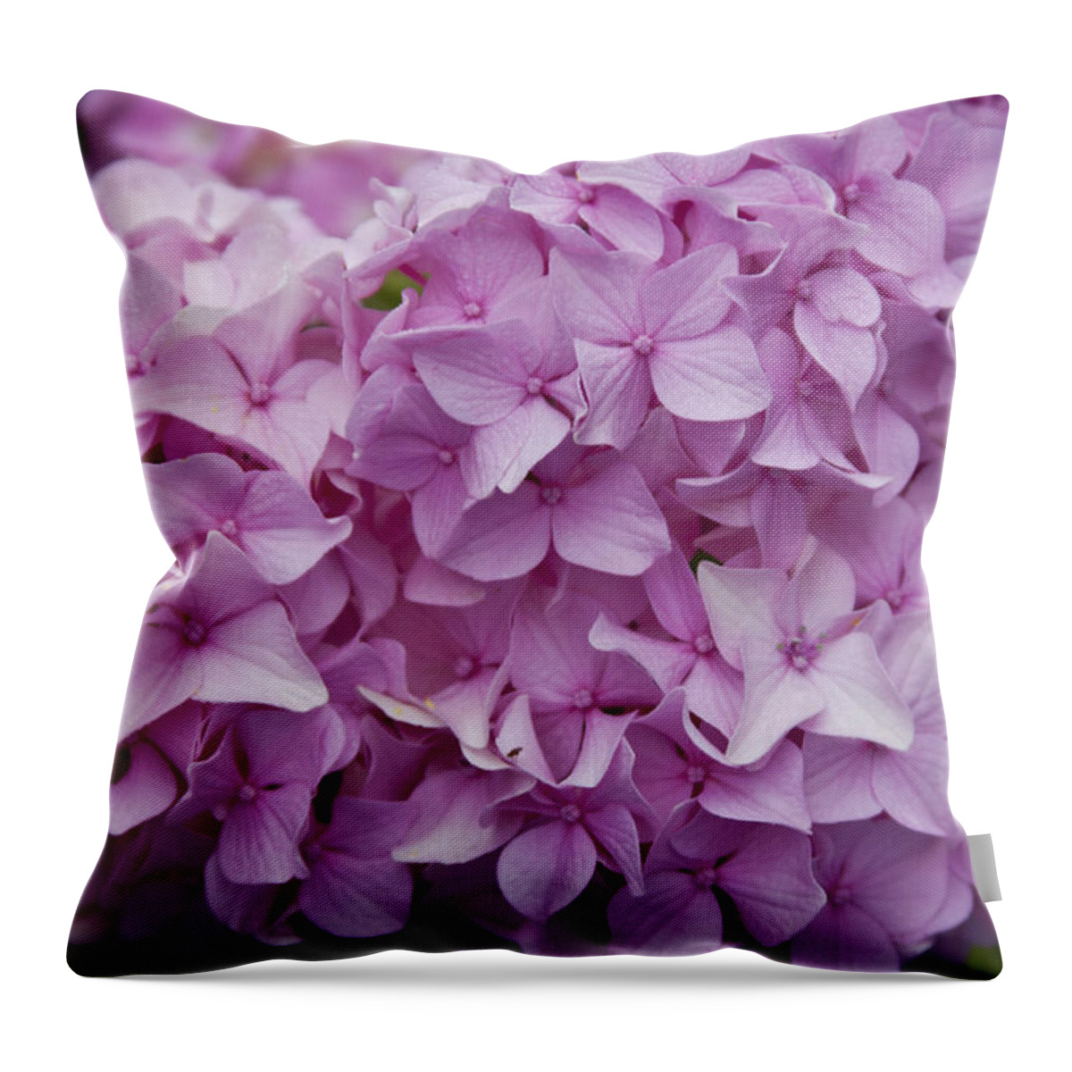 Flowers Throw Pillow featuring the photograph Pink Hydrangea by Jean Macaluso