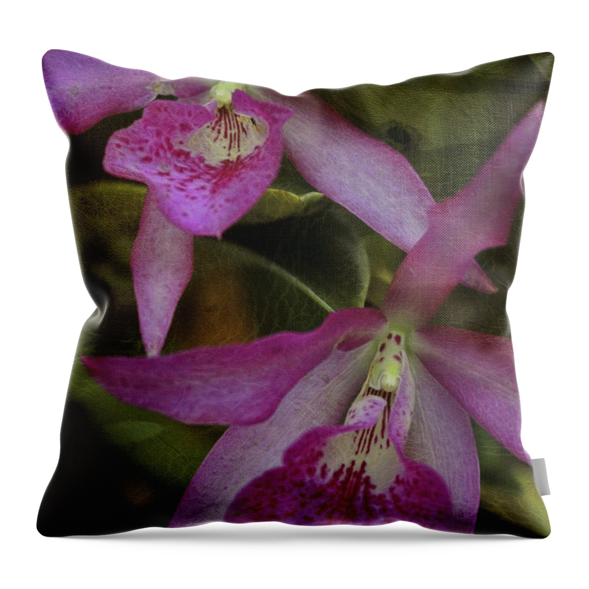 Orchid Throw Pillow featuring the photograph Pink Leopard by Deborah Benoit