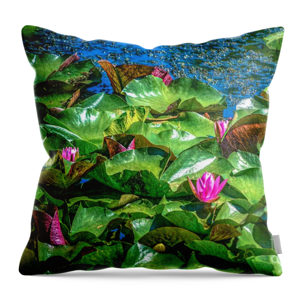 Lilly Flowers Throw Pillow featuring the photograph Pink Lilly Flowers and Pads by Peggy Franz