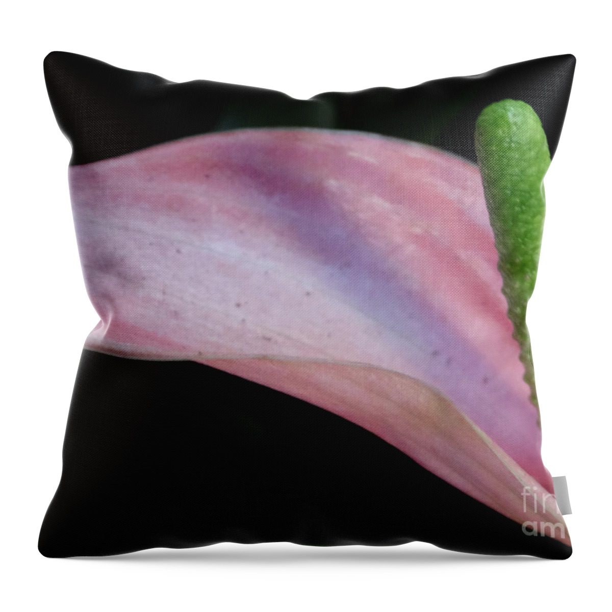 Flower Throw Pillow featuring the photograph Pink Lily by Lyric Lucas