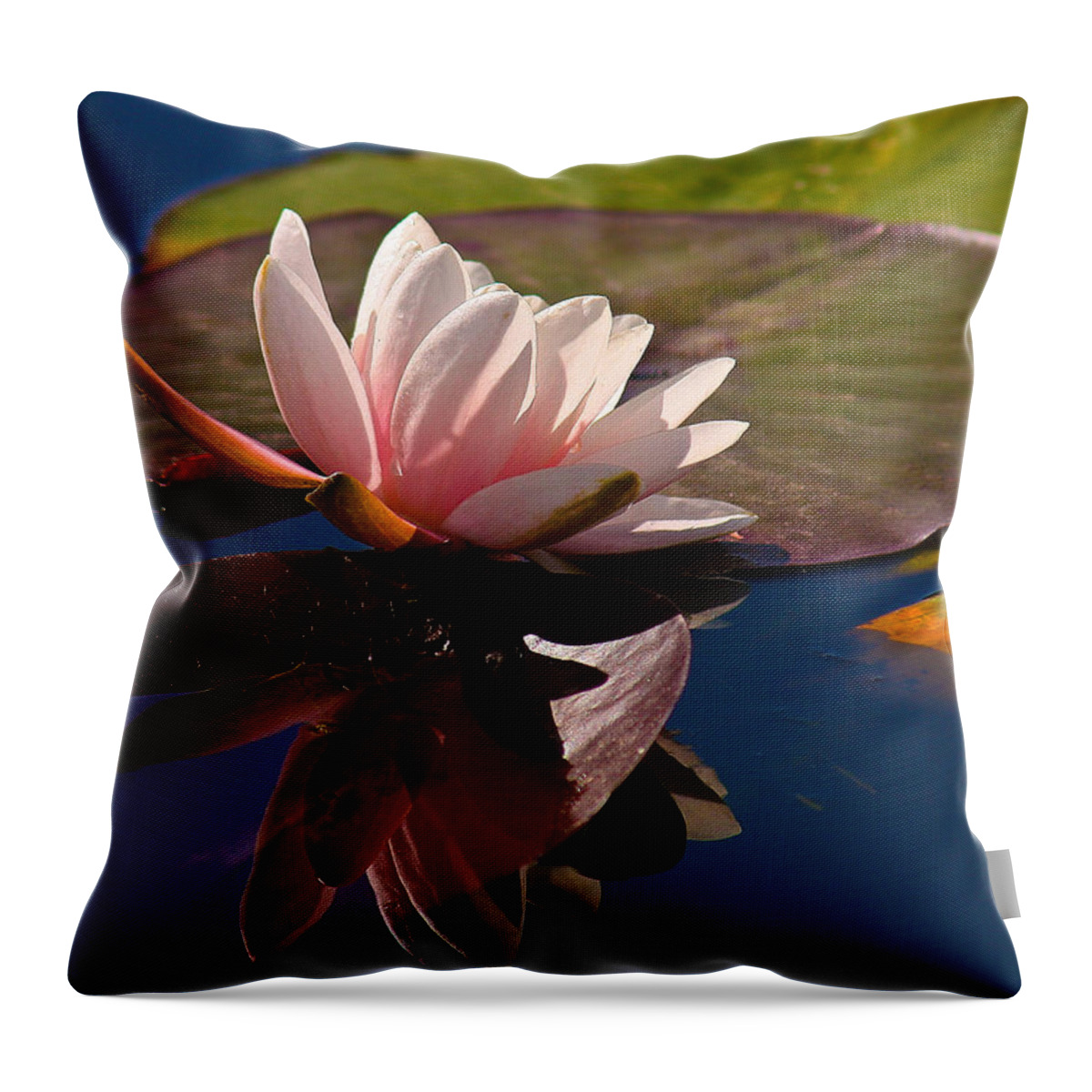 Flower.flowers Throw Pillow featuring the photograph Pink Lily by Jean Noren