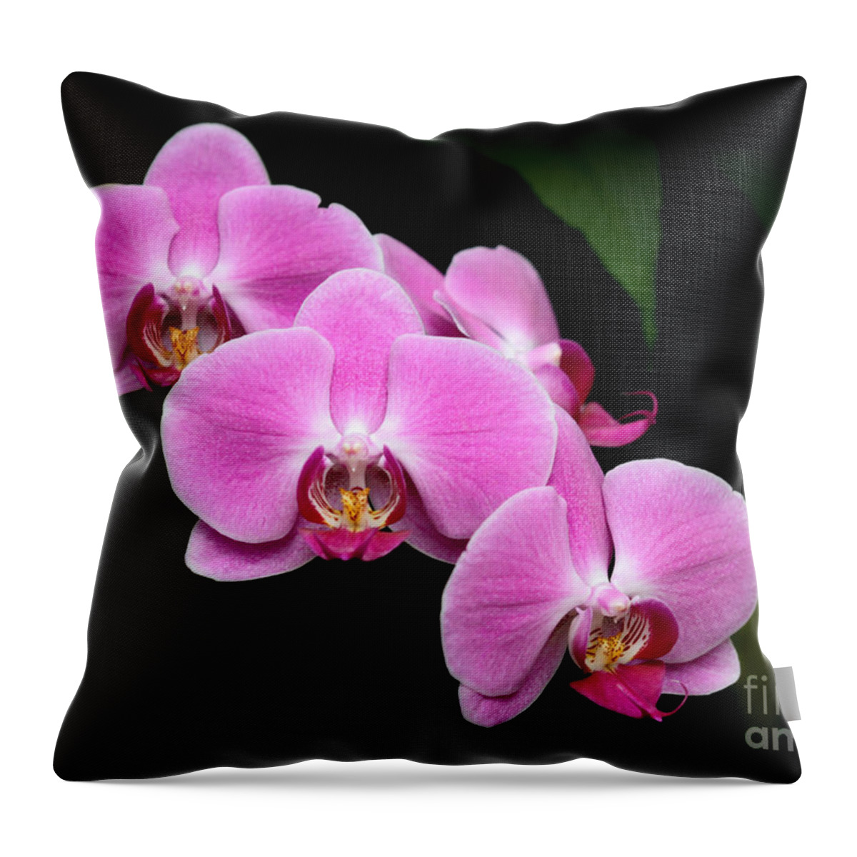 Amazing Throw Pillow featuring the photograph Pink Orchids in a Row by Sabrina L Ryan