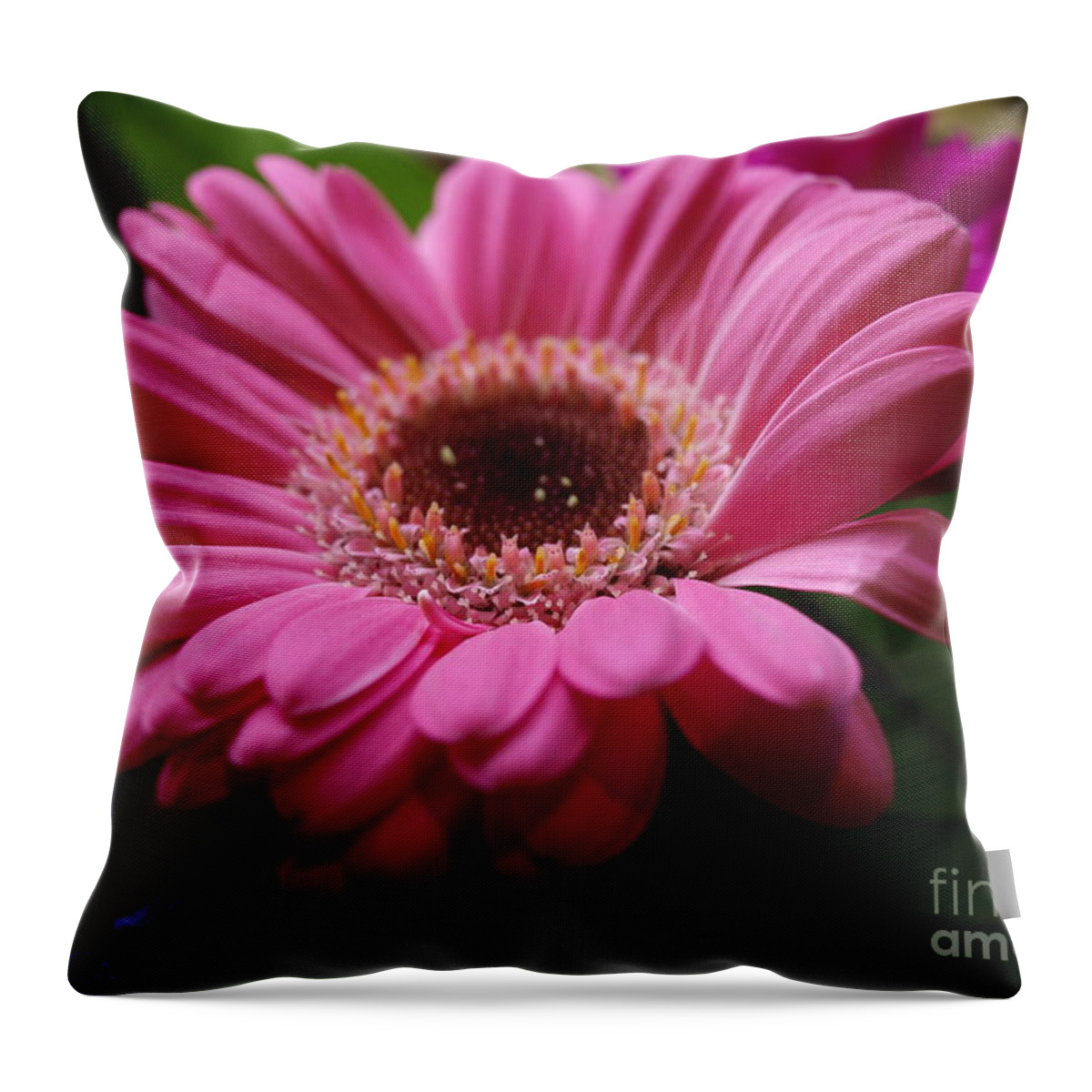 Pink Throw Pillow featuring the photograph Pink Petal Explosion by Vivian Martin