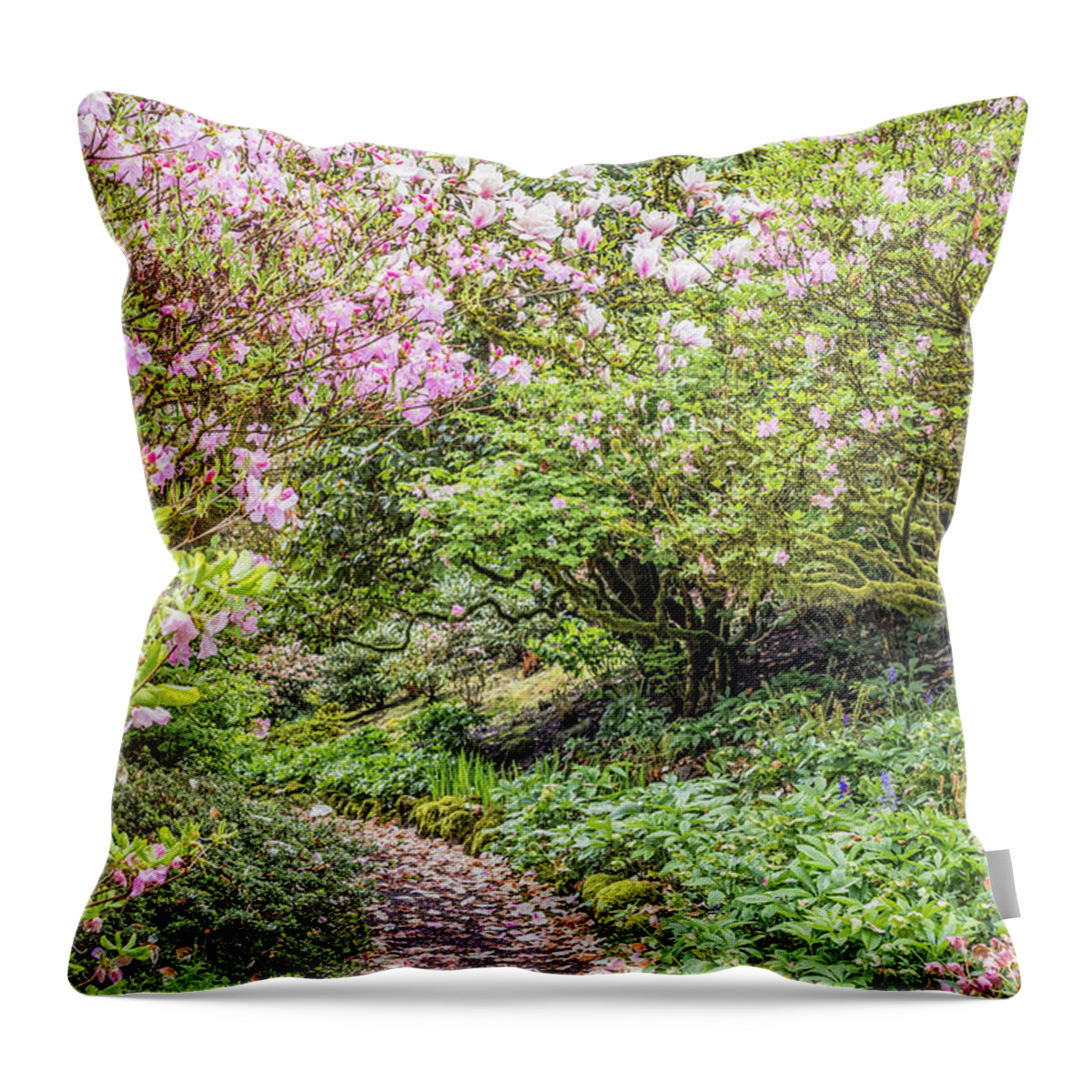 Petal Pathway Throw Pillow featuring the photograph Pink Petal Pathway by Priya Ghose