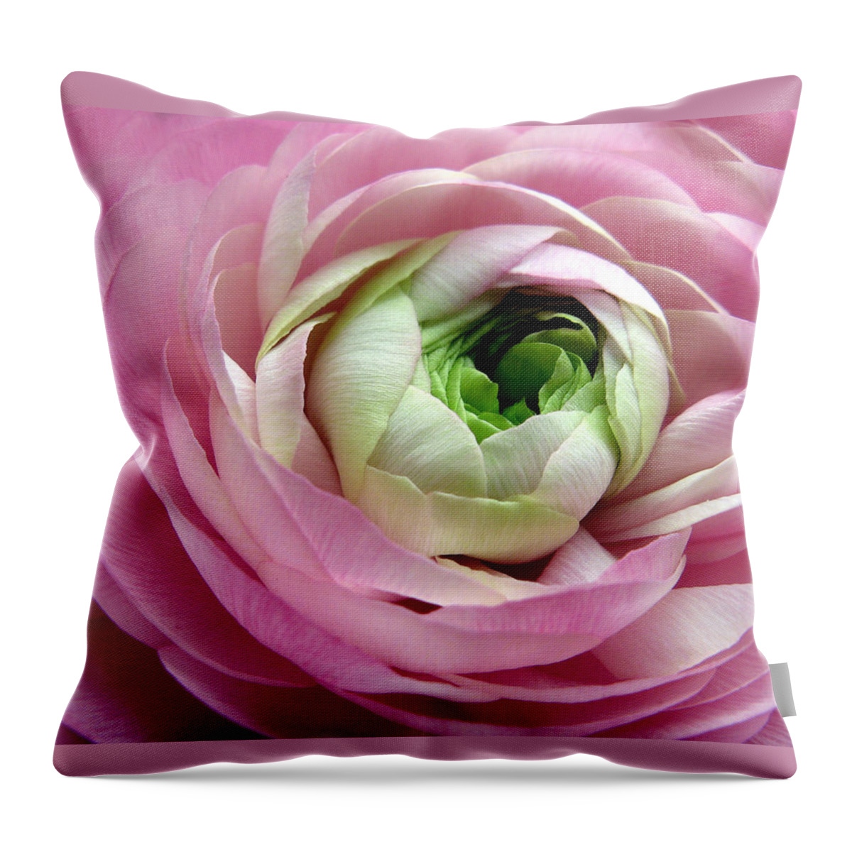 Flowers Throw Pillow featuring the photograph Pink Petticoat by Jessica Jenney