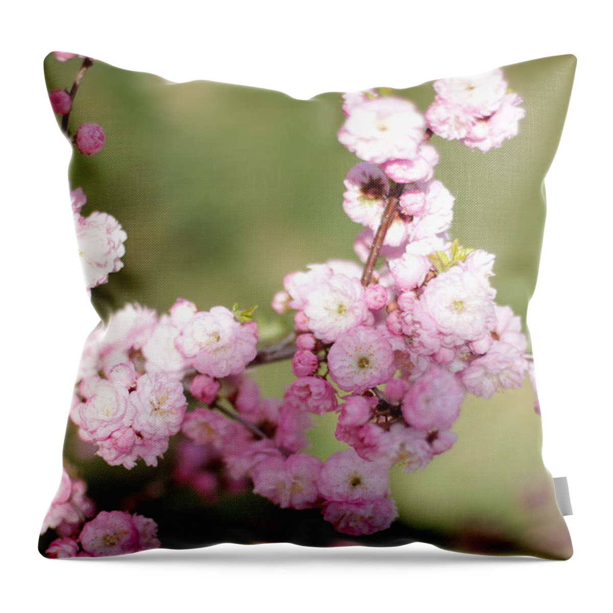 Landscape Throw Pillow featuring the photograph Pink Plum Branch on Green 2 by Donna L Munro