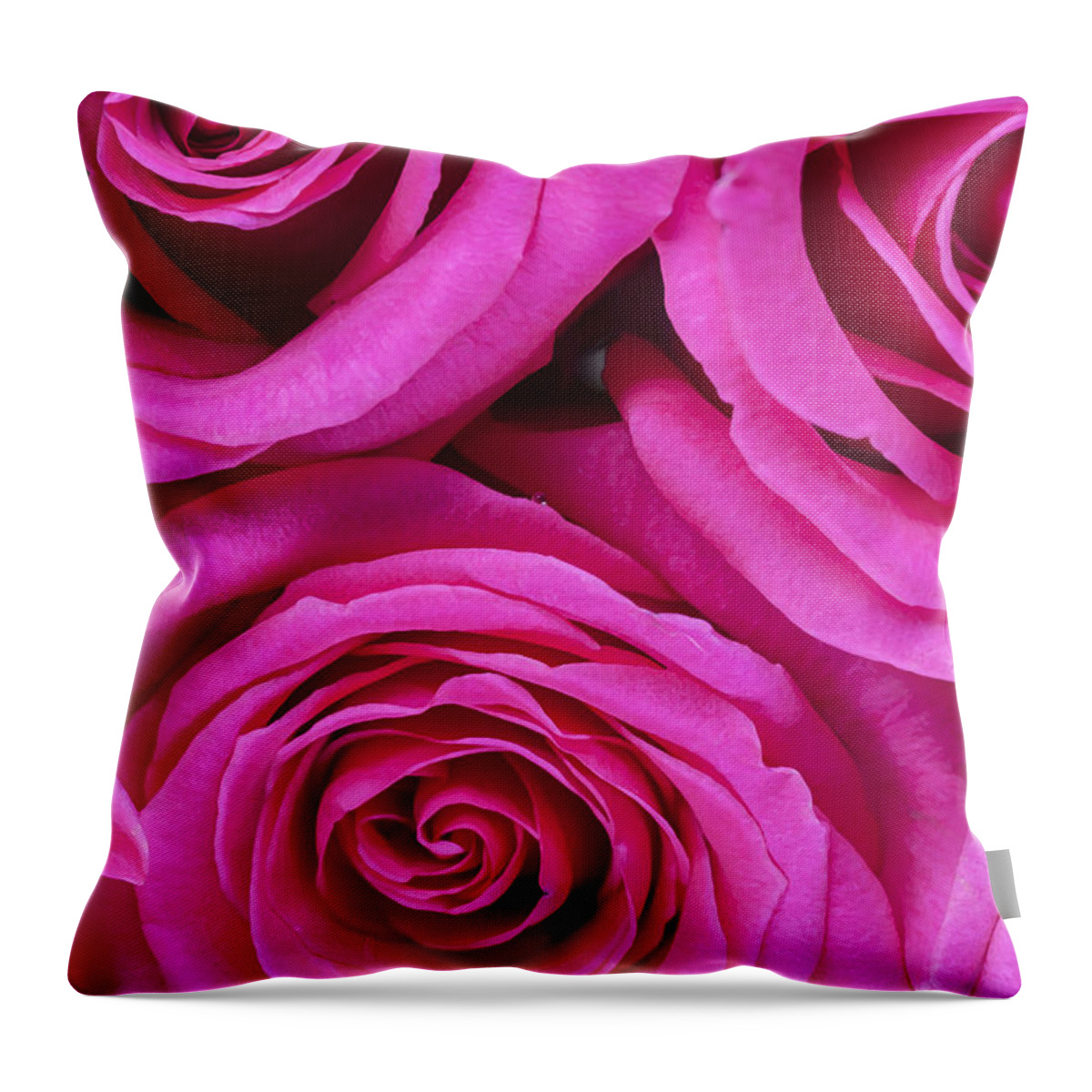 Pink Roses Throw Pillow featuring the photograph Pink Roses 2 by Rich Franco