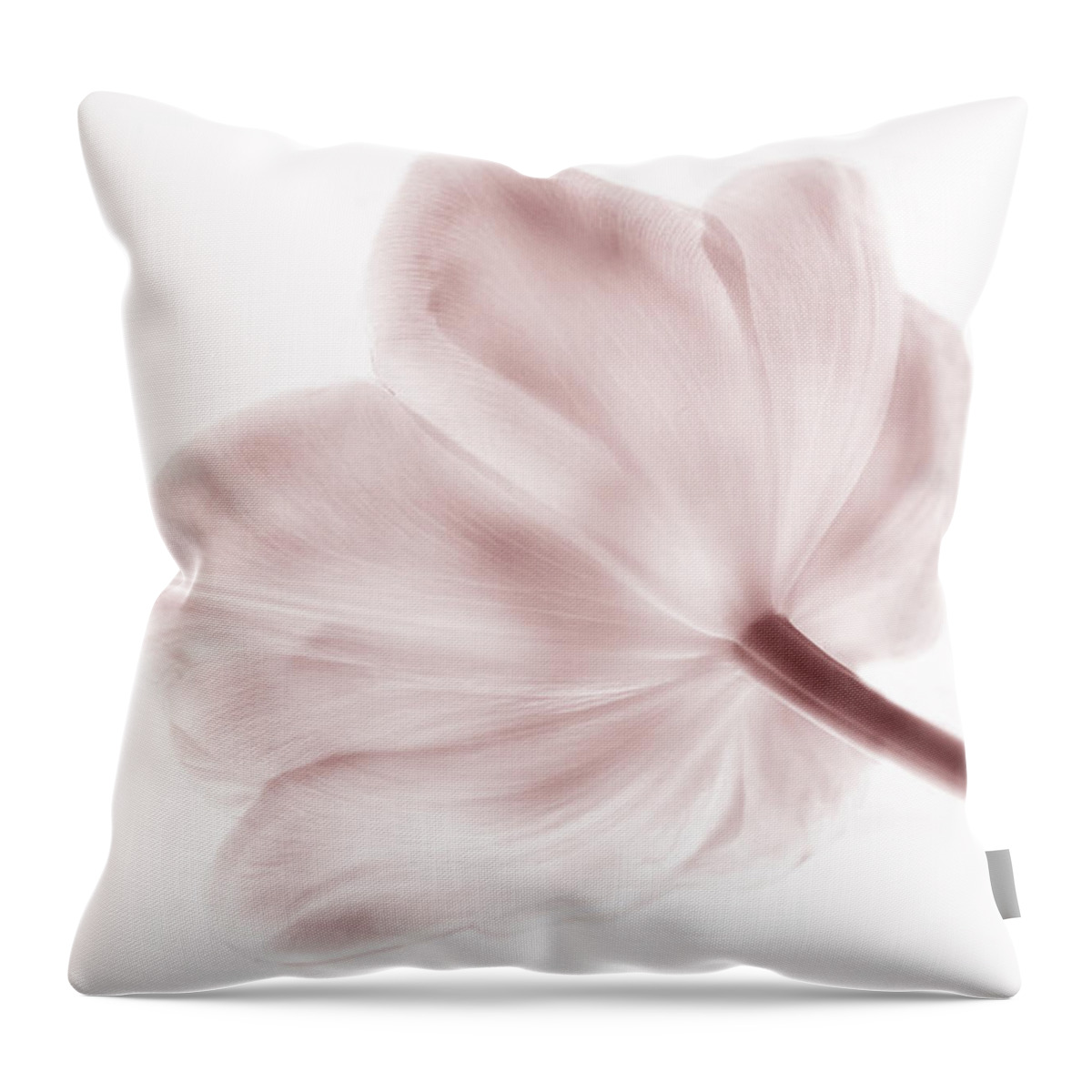 Tulip Throw Pillow featuring the photograph Pink Solitaire by Arlene Carmel