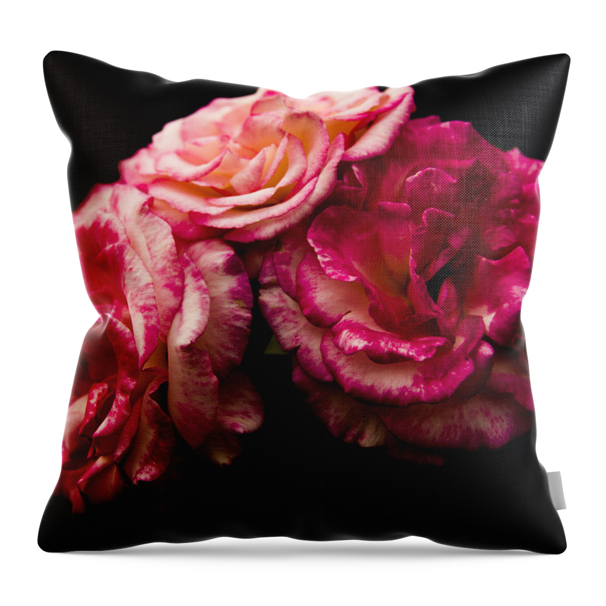 Flowers Throw Pillow featuring the photograph Pink Solitude by Theodore Jones
