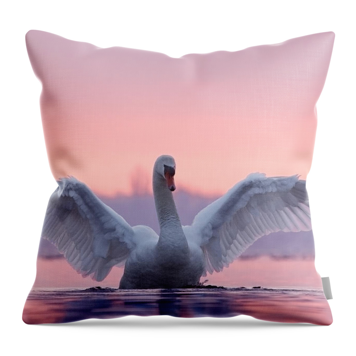 Mute Swan Throw Pillow featuring the photograph Pink Swan by Roeselien Raimond