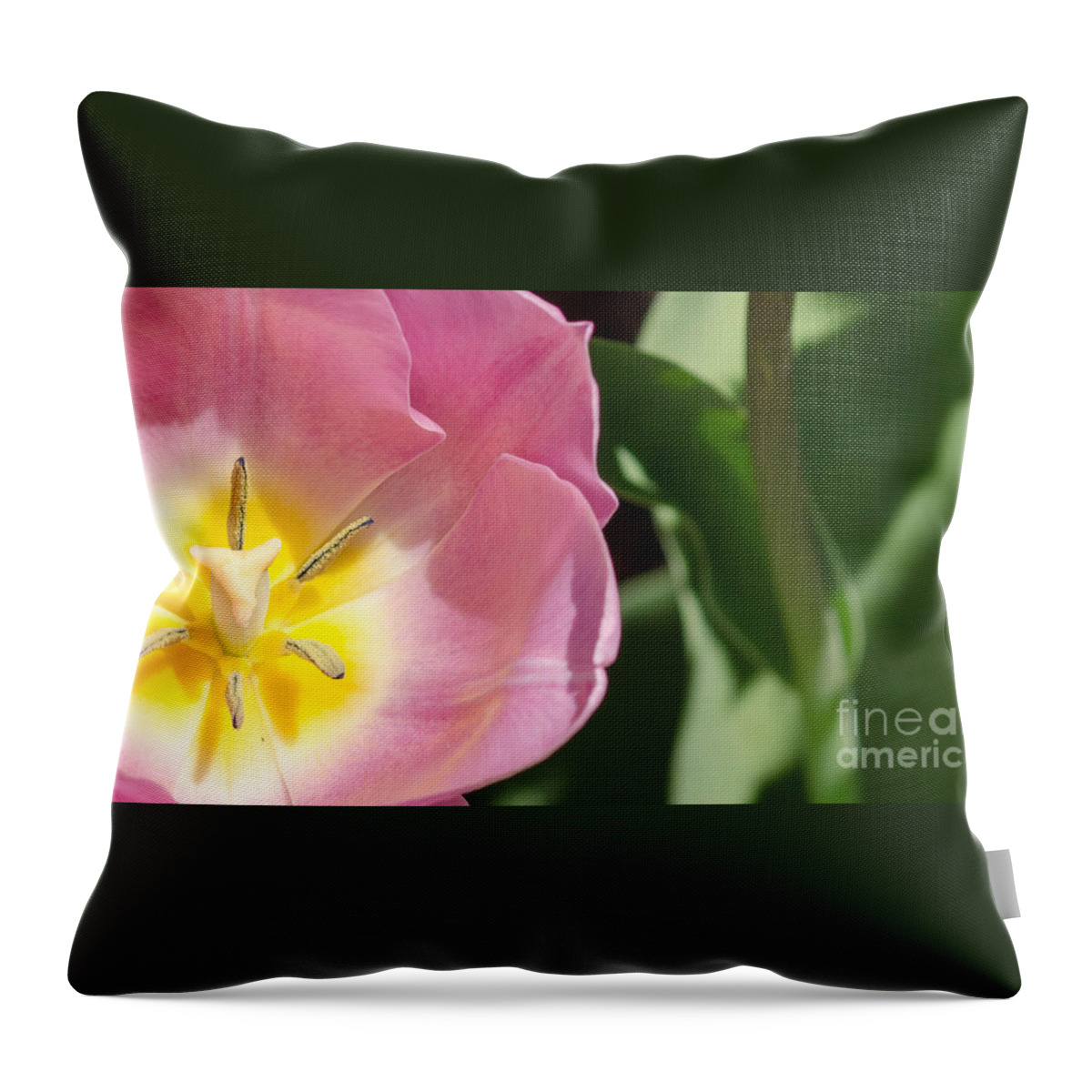 Flower Throw Pillow featuring the photograph Pink Tulip by Andrea Anderegg