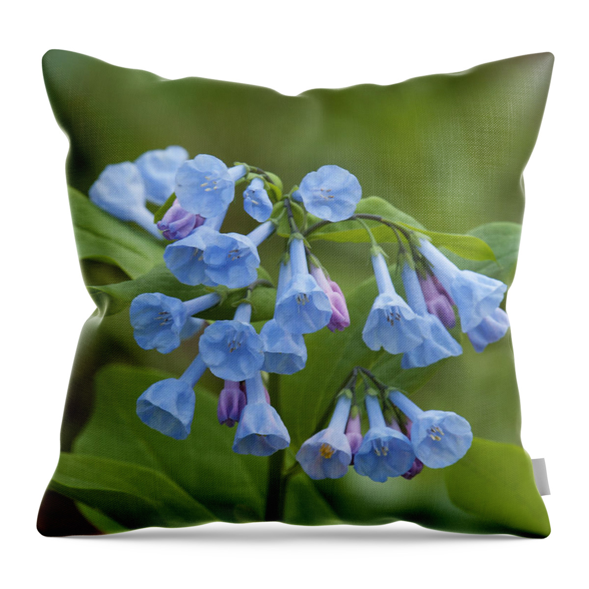 Spring Throw Pillow featuring the photograph Pink Virginia Bluebells or Virginia Cowslip DSPF265 by Gerry Gantt