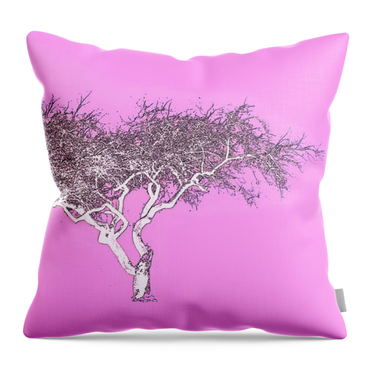 Pink Throw Pillow featuring the photograph Pink Zen by Bill Cannon
