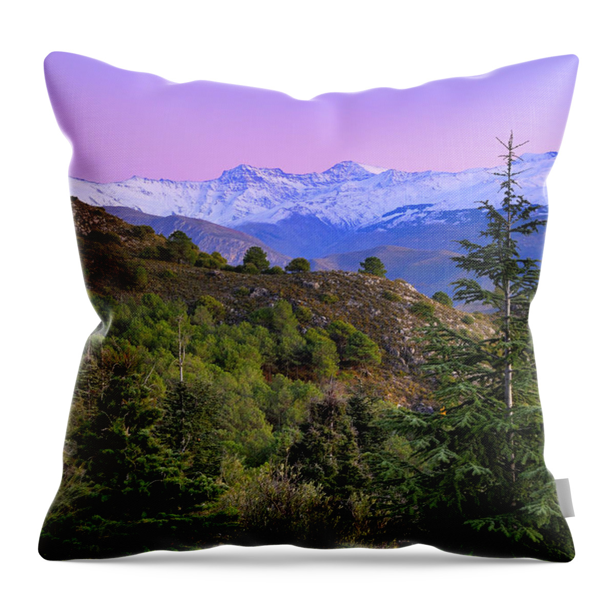 Sunset Throw Pillow featuring the photograph Pinsapar at Sierra Nevada by Guido Montanes Castillo