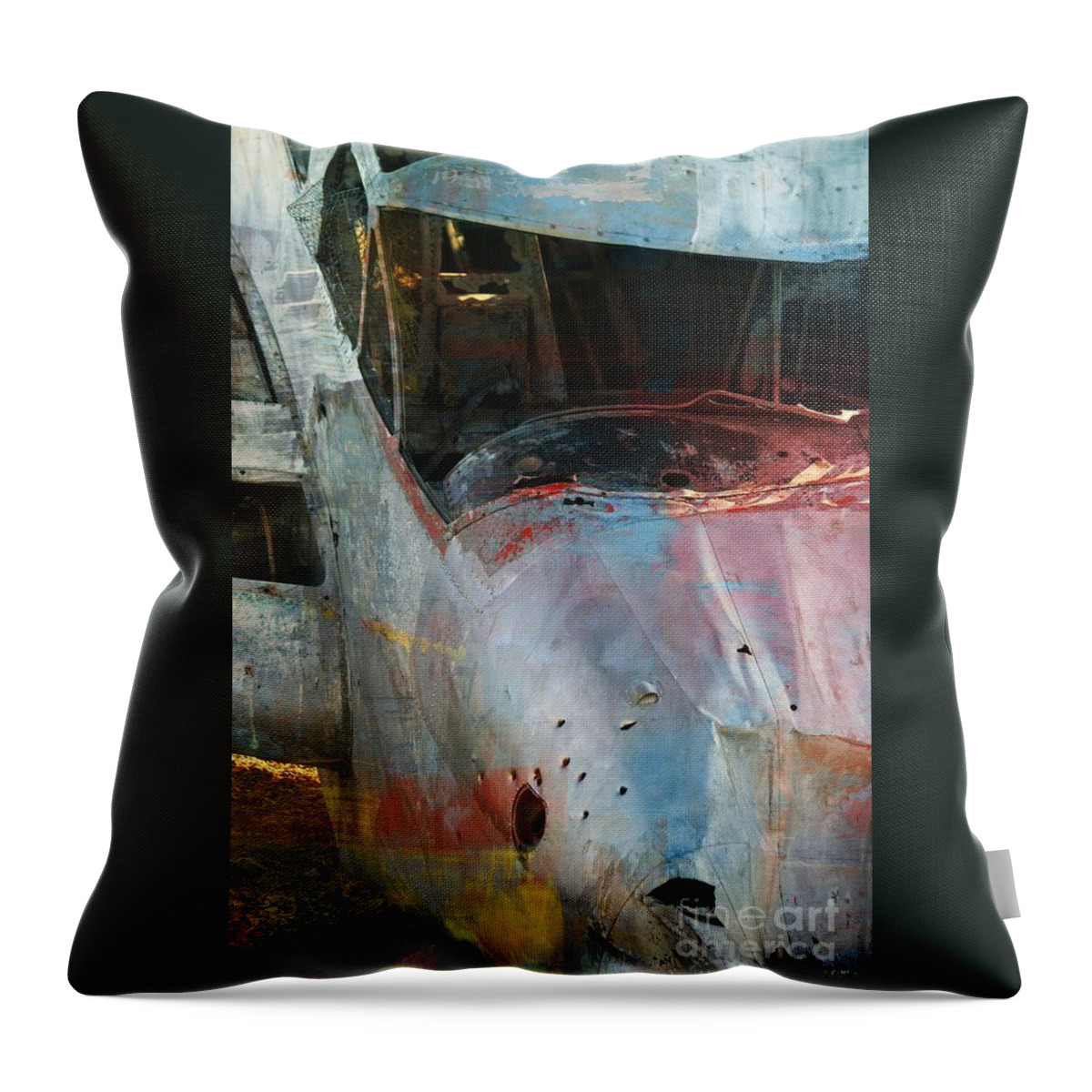 Airplane Throw Pillow featuring the photograph Plane Wreck Norway Illinois by Veronica Batterson