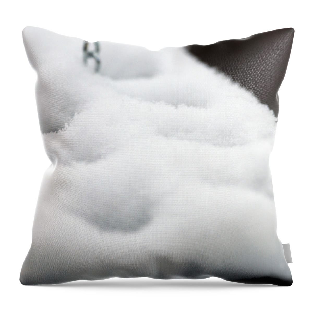 Snow Throw Pillow featuring the photograph Planet Snow by Wanda Brandon