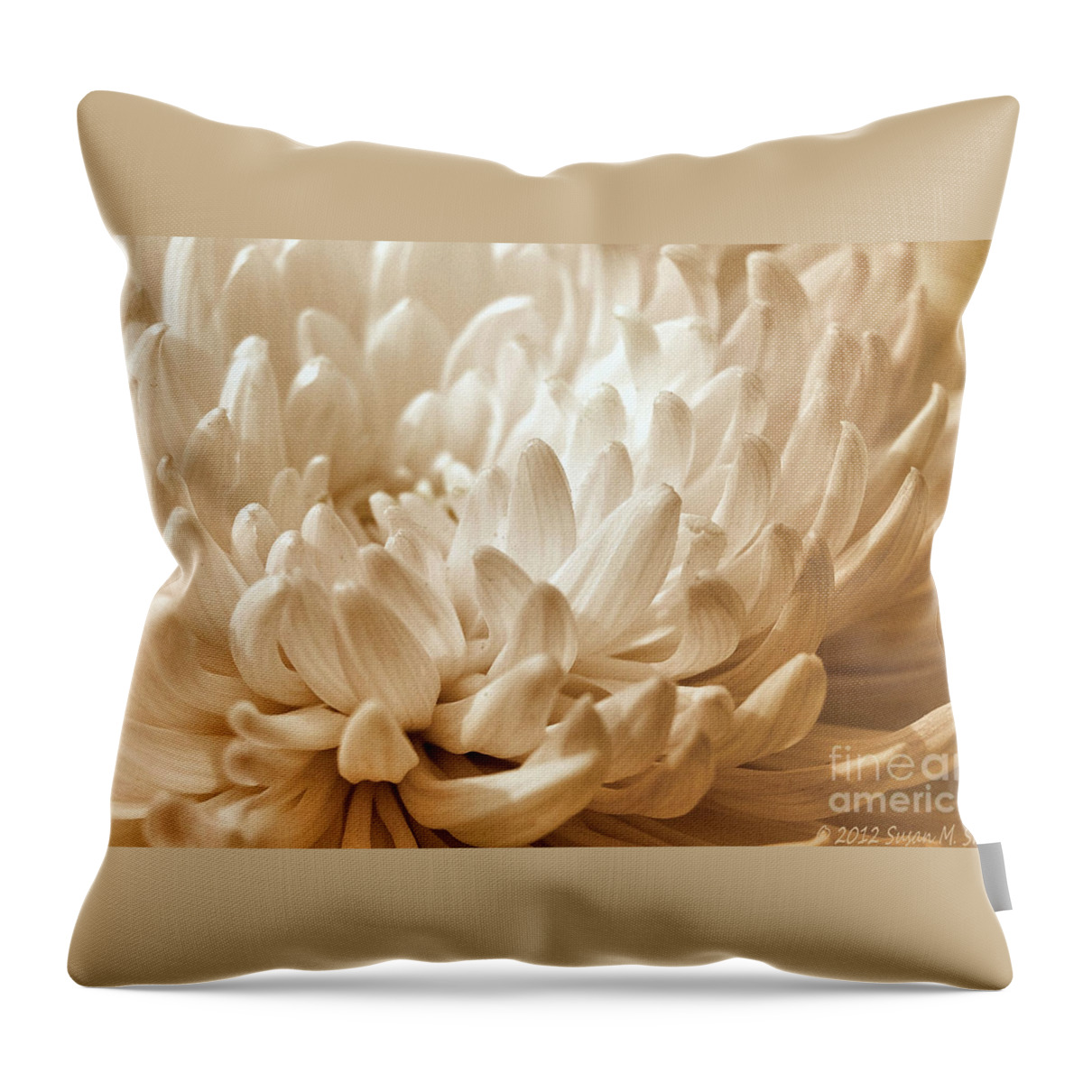 Flower Throw Pillow featuring the photograph Platinum Mum by Susan Smith