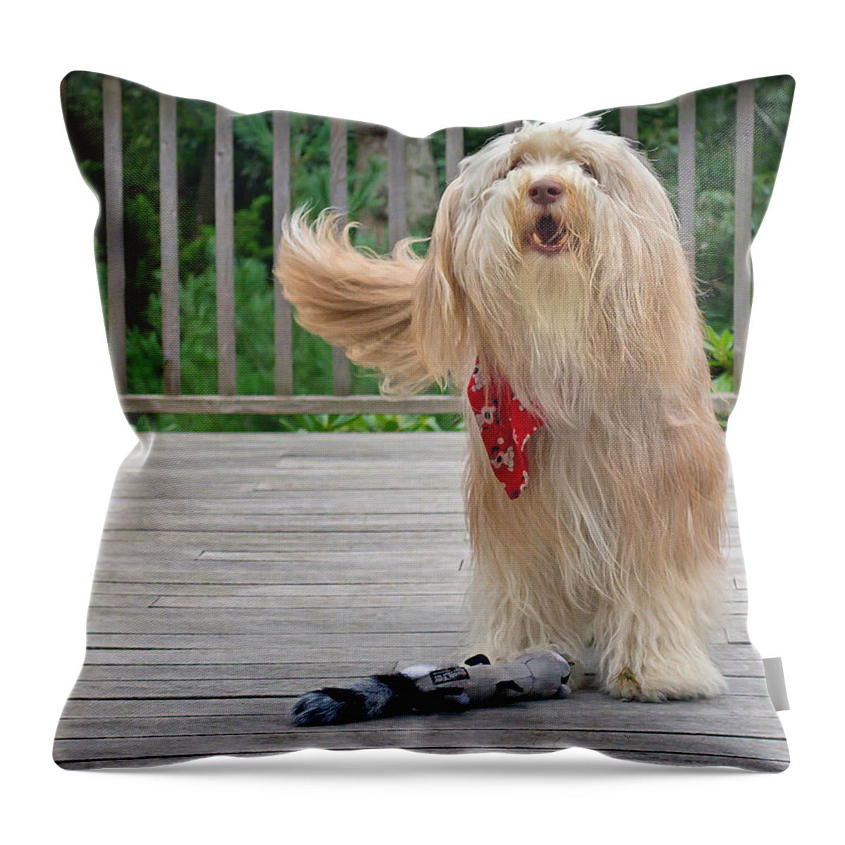 Dog Throw Pillow featuring the photograph Play With Me by Keith Armstrong