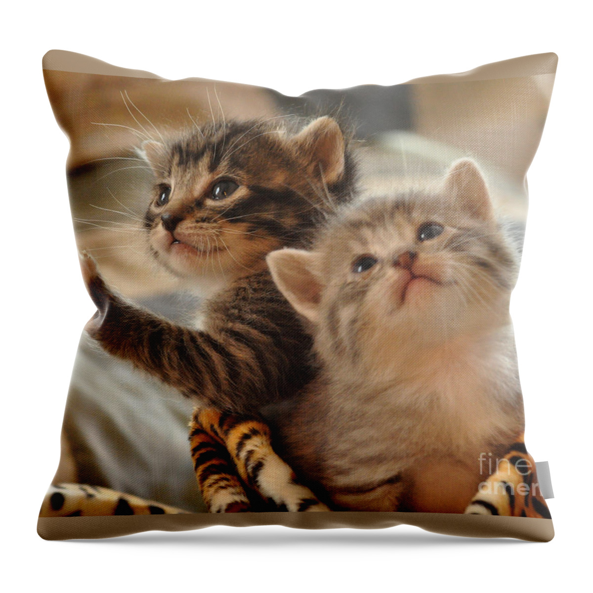 Kittens Throw Pillow featuring the photograph Playful kittens by Debby Pueschel