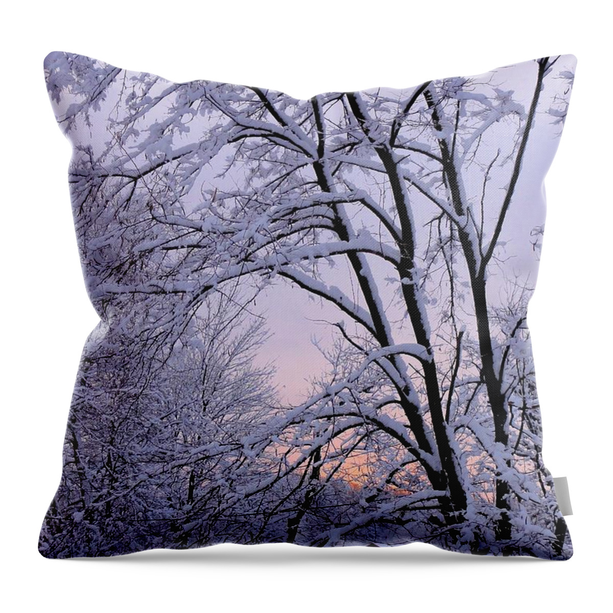 Bucks County Playhouse Throw Pillow featuring the photograph Playhouse Through Snow by Christopher Plummer