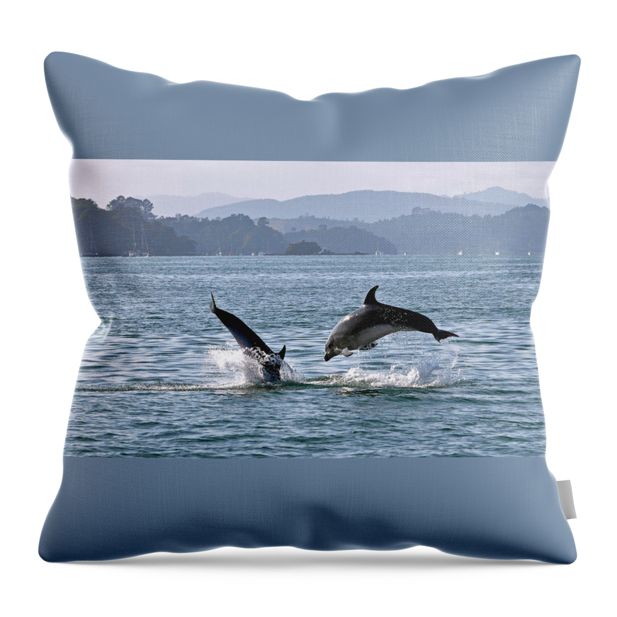 Scenics Throw Pillow featuring the photograph Playing Around In The Bay Of Islands by Steve Clancy Photography