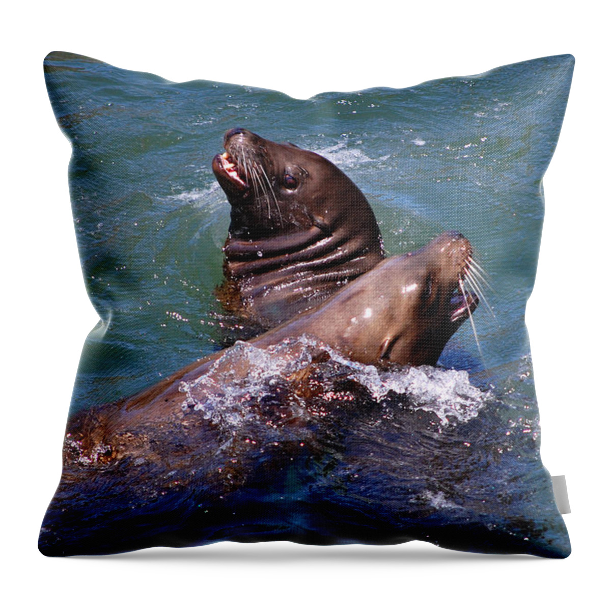 Sea Lions Throw Pillow featuring the photograph Playing Pair of Sea Lions by Debra Thompson